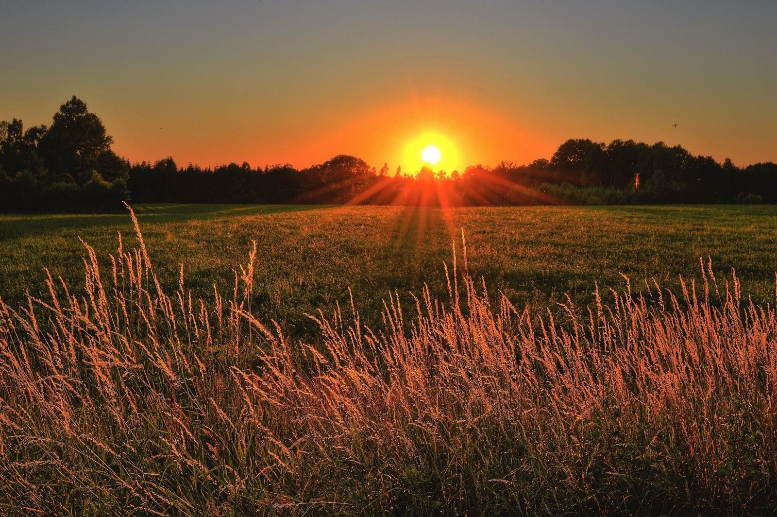 sunset sustainable incontinence products